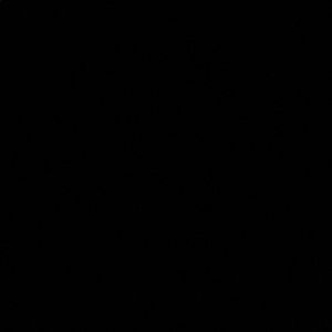 Meet your Posher, Isaac